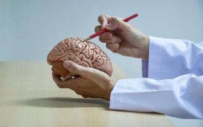Why I was Referred to a Neurologist?